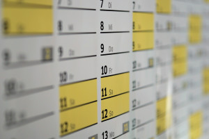 Rada Przejrzystości oceni projekt samorządowy (fot. pixabay) Rada Przejrzystości w październiku zajmie się nowotworami głowy i szyi