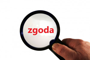 Zgoda na program profilaktyczny w zakresie zdrowia jamy ustanej (foto: pixabay) Zgoda na program zapobiegania próchnicy u dzieci z terenu Imielina