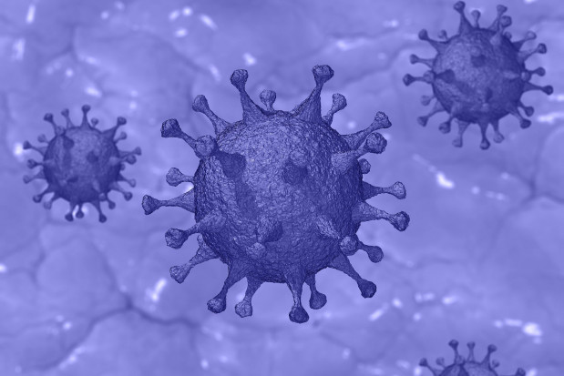 Stan epidemii (fot. pixabay) Koronawirus 22 listopada: 18 467 zakażeń