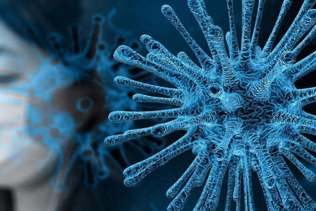 Koronawirus: eksperci z 6 ośrodków naukowych o scenariuszach pandemii w Polsce