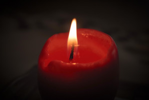 Dr Karolina Soboczyńska była pracownikiem UM w Poznaniu (fot. pixabay) Nie żyje dr n. med. Karolina Soboczyńska