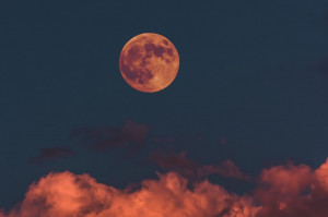 Doraźna pomoc stomatologiczna (foto: unsplash) Łódź wybiła się na dwa gabinety stomatologicznej pomocy doraźnej