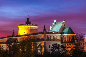 Program profilaktyki próchnicy zębów dla uczniów lubelskich szkół (fot. pixabay) Przetarg na profilaktykę próchnicy zębów dla uczniów lubelskich szkół - na finiszu