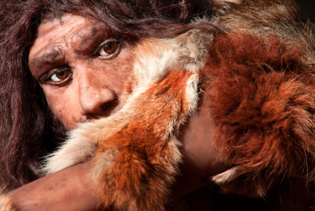 Neandertalczycy wynaleźli wykałaczki (fot. Shutterstock) Neandertalczycy z okolic Częstochowy dbali o zęby