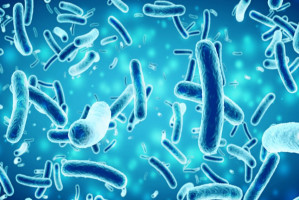 Wraz z wydłużającym się okresem niemycia zębów mikrobiom dynamicznie się zmienia (fot. Shutterstock) Co się dzieje, gdy pacjent nie czyści zębów