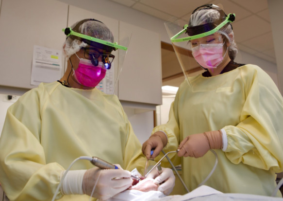 Osłony skrojone dla lekarzy dentystów Antycovidowa osłona twarzy: dentysta dla dentystów