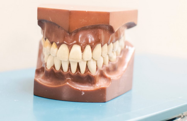 Dodatkowe uprawnienia według SIiMTD m.in. dla technika dentystycznego (fot. unsplash) SIiMTD optuje za dodatkowymi uprawnieniami m.in. dla technika dentystycznego