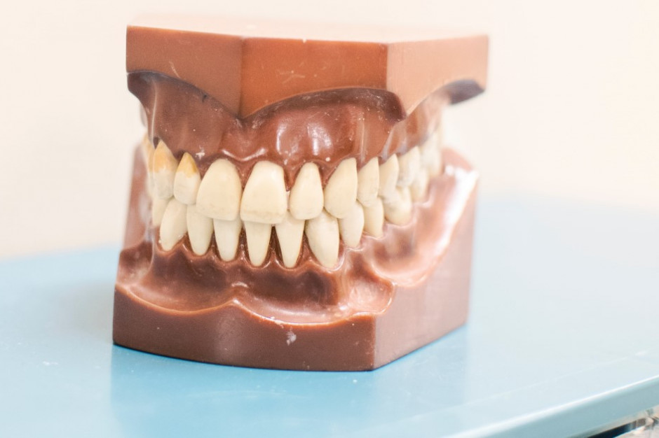 Dodatkowe uprawnienia według SIiMTD m.in. dla technika dentystycznego (fot. unsplash) Dodatkowe uprawnienia według SIiMTD m.in. dla technika dentystycznego (fot. unsplash)
