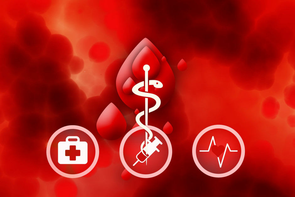 Kursy z krwiodawstwa i krwiolecznictwa (fot. Pixabay)
