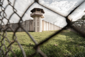 Nawet więzienie za oszczercze opinie na temat stomatologów