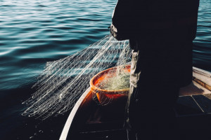 W Kielcach bezproduktywne połowy świadczeniodawców (fot. unsplash) Trwa łowienie dentystów na pomoc doraźną w Kielcach