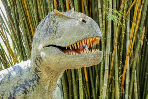 Tyranozaur (fot. Unsplash) Zęby zdradzają tryb życia tyranozaura