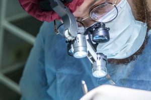 Praca wykłądowcy w UM w Poznaniu (fot. unsplash) UM w Poznaniu: potrzebny wykładowca (chirurgia stomatologiczna i periodontologia)