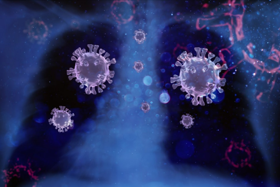 Koronawirus ma 11 wariantów uznanych przez WHO (fot. Shutterstock)