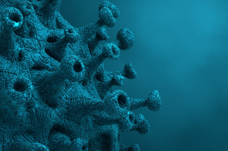 Konkurencyjny syntetyczny wirus, otrzymany w laboratorium ma zwalczyć dziki SARS-CoV-2 (fot. Shutterstock)