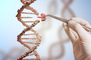 Na Politechnice Śląskiej będą powstawać technologie poprawiające profilaktykę i leczenie chorób (fot. Shutterstock) Zabrze: nowoczesny ośrodek badań wspomagający stomatologię