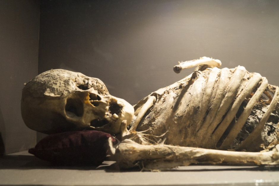 Większość badanych mumii miała bardzo starte szkliwo (fot. Pixabay)