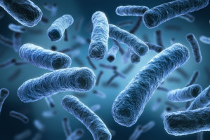 Walka z zakażeniami miejsca operowanego nieskuteczna nawet w 18 proc. przypadków (fot. Shutterstock) Przy alergii na penicylinę rośnie ryzyko zakażenia miejsca po usuniętym zębie
