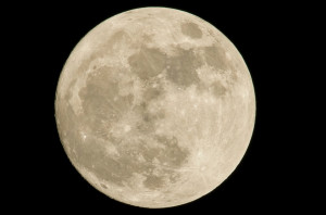 Stomatologiczny wątek w bazie księżycowej Lunares (fot. Unsplash) Polska stomatologia w programie zdobywania Księżyca