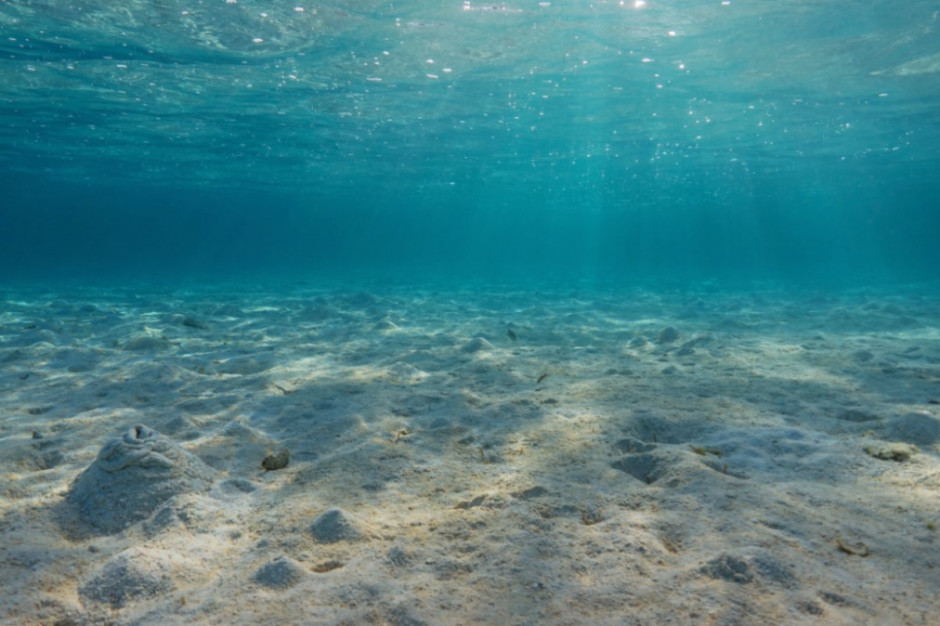 Wyjątkowe znalezisko podczas badania dna morskiego (fot. Shutterstock)