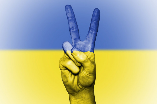 CED i ERO wspierają Ukrainę Fot. Pixabay Europejskie organizacje dentystyczne solidarne z Ukrainą