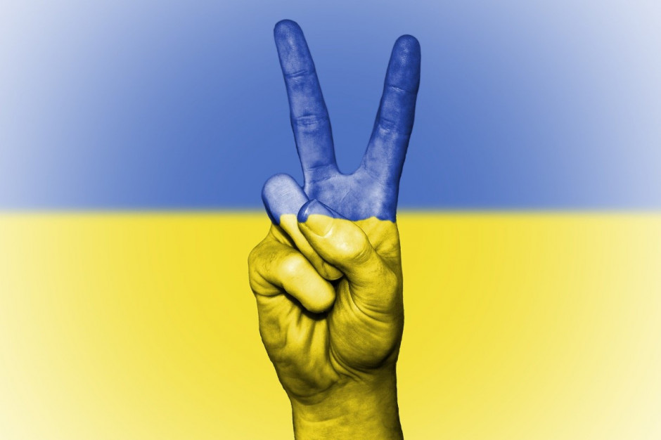 CED i ERO wspierają Ukrainę Fot. Pixabay