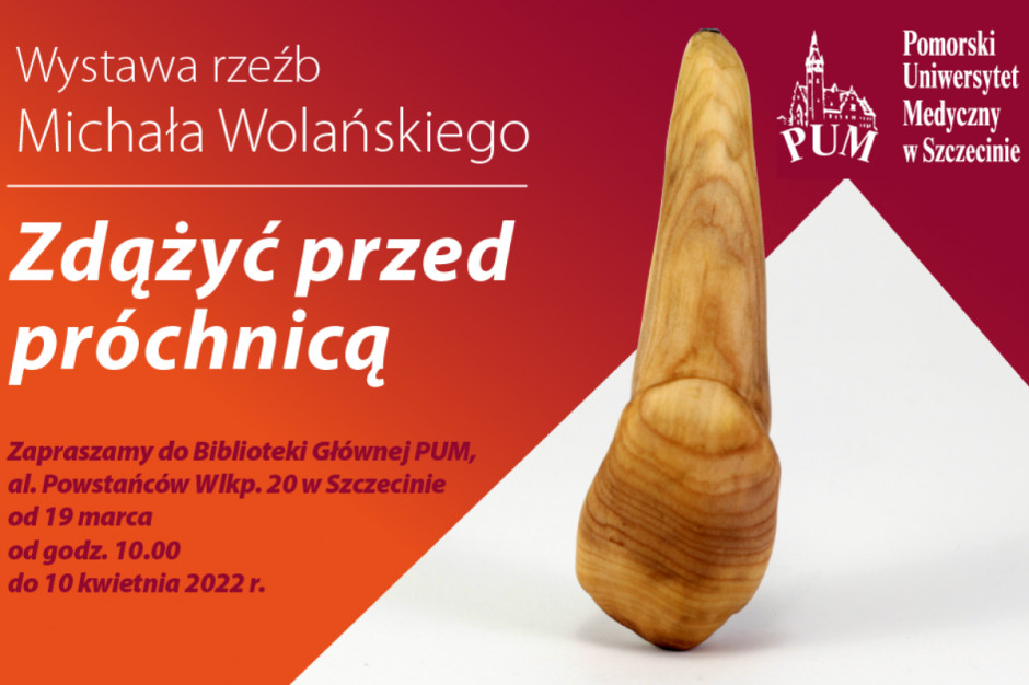 Wystawa rzeźb studenta stomatologii Michała Wolańskiego Fot. PUM