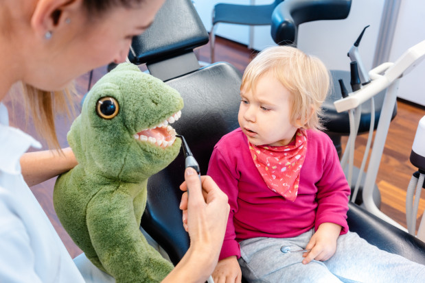 Zielona Góra: dentysta na NFZ, tam dzieci przyjmowane są bez kolejki - lista