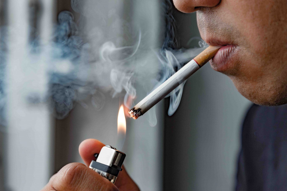 Nowe rekomendacje PAN w zakresie redukcji palenia Fot. Shutterstock