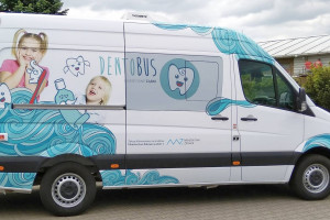 Drażliwe pytania o dentobusy. Co robią i czy ulegają wypadkom