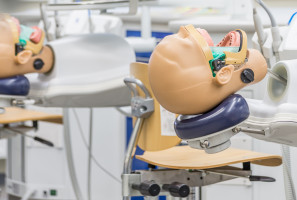 UM we Wrocławiu podaje ostateczną listę przyjętych na stomatologię