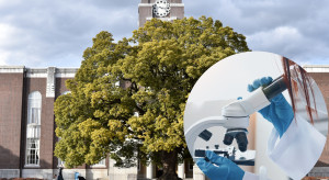Odrost zębów coraz bliżej? Kliniczna faza badań. Obiecujące wyniki