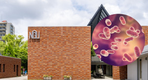 Światło zamiast antybiotyku? Japońska terapia celuje tylko w patogeny